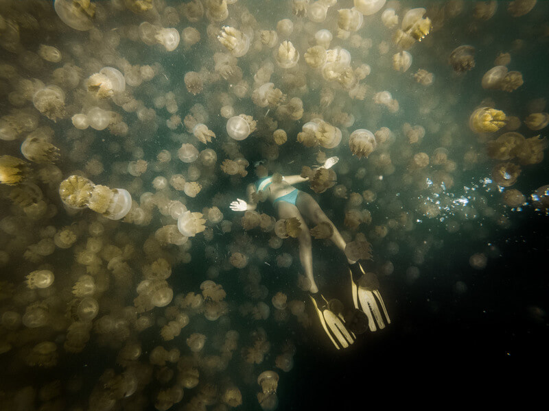 Woman free diving at the Jellyfish Lake