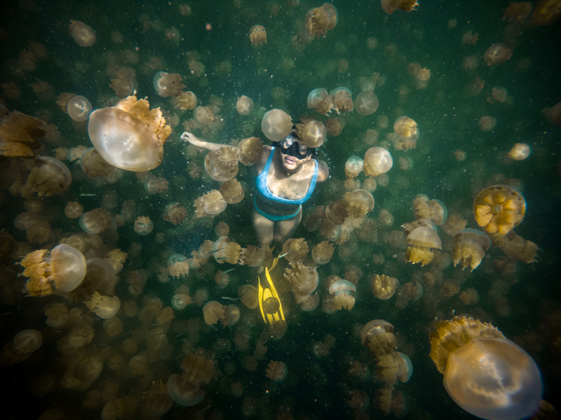 Person swimming at the jellyfish lake in Palau