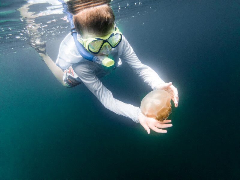 Kid snorkeling at the Jellyfish Lake in Palau