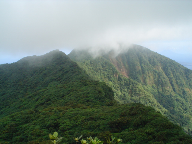 View of the cloud forest at Mombacho volcano