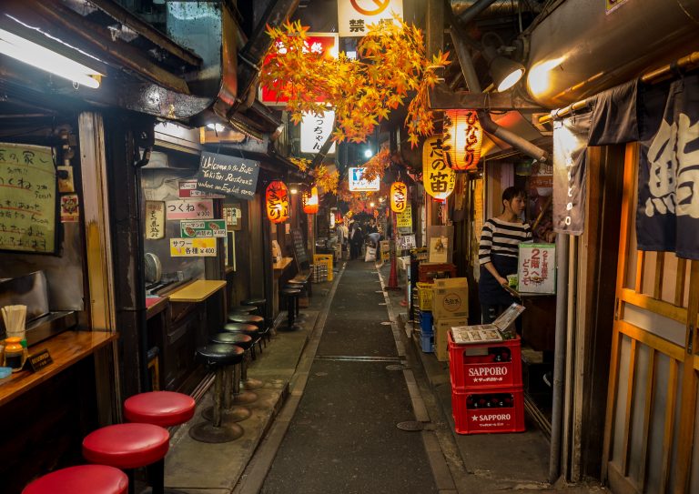 Omoide Yokocho is one of the coolest places in the concrete jungle of Tokyo