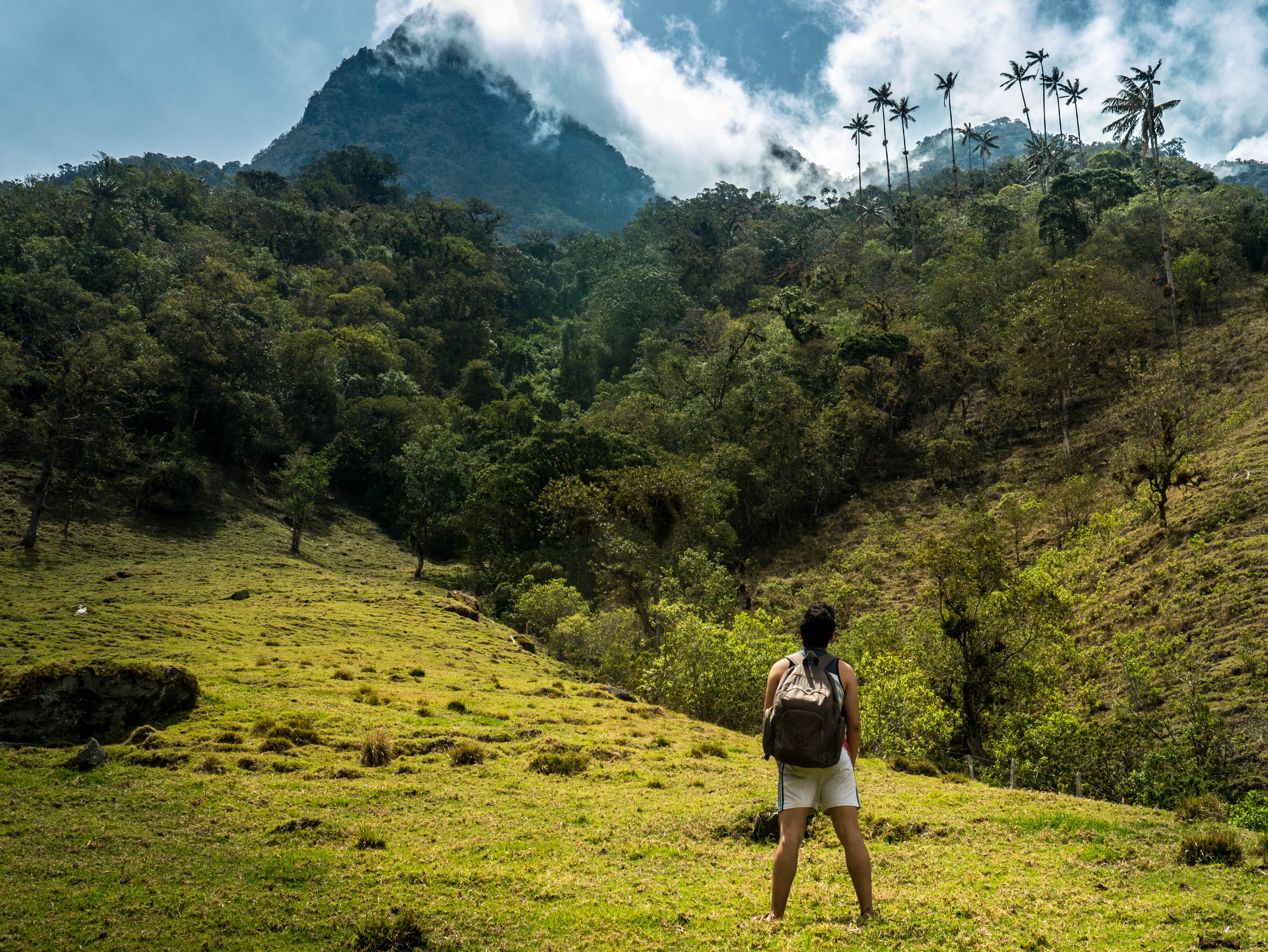 Deserts in Tatacoa, beaches in San Andres, mountains in Cocora or rainforest in the Amazon – just name it and there is a Colombian landscape of it! Let's not forget about Cano Cristales, Colombia's rainbow river.