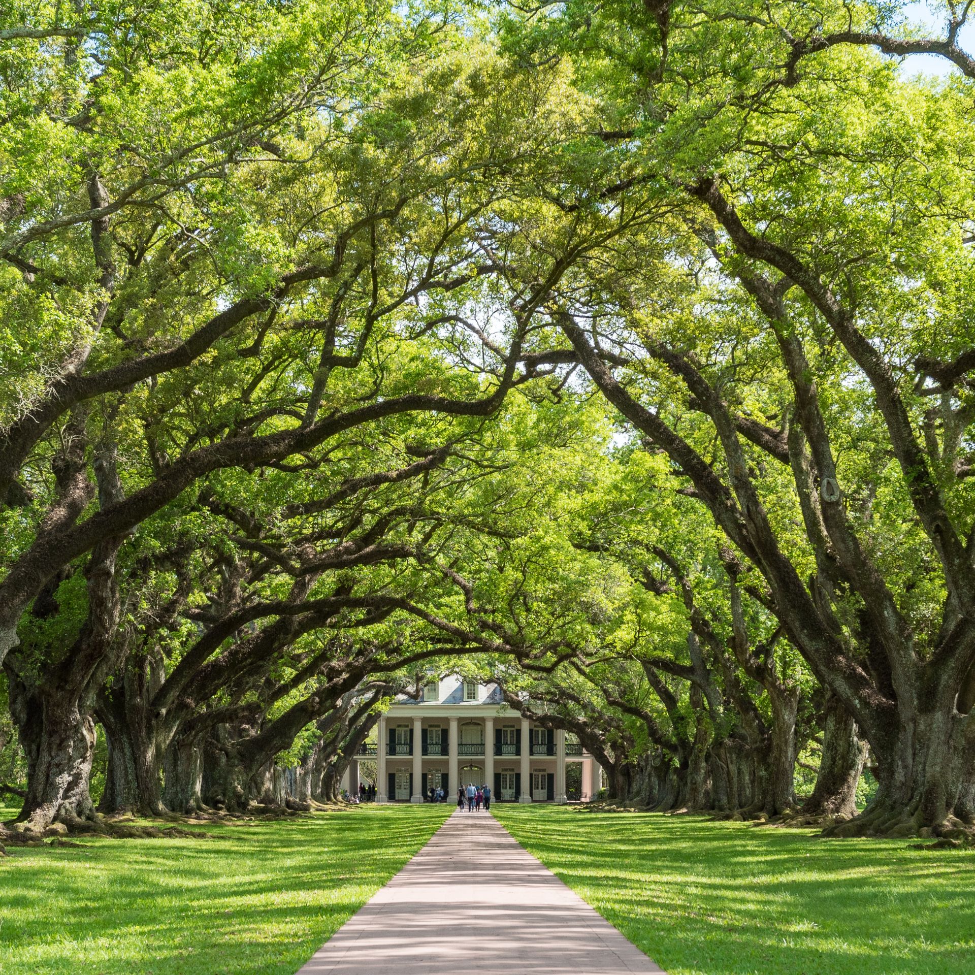 Most Interesting Plantations to Visit in Louisiana
