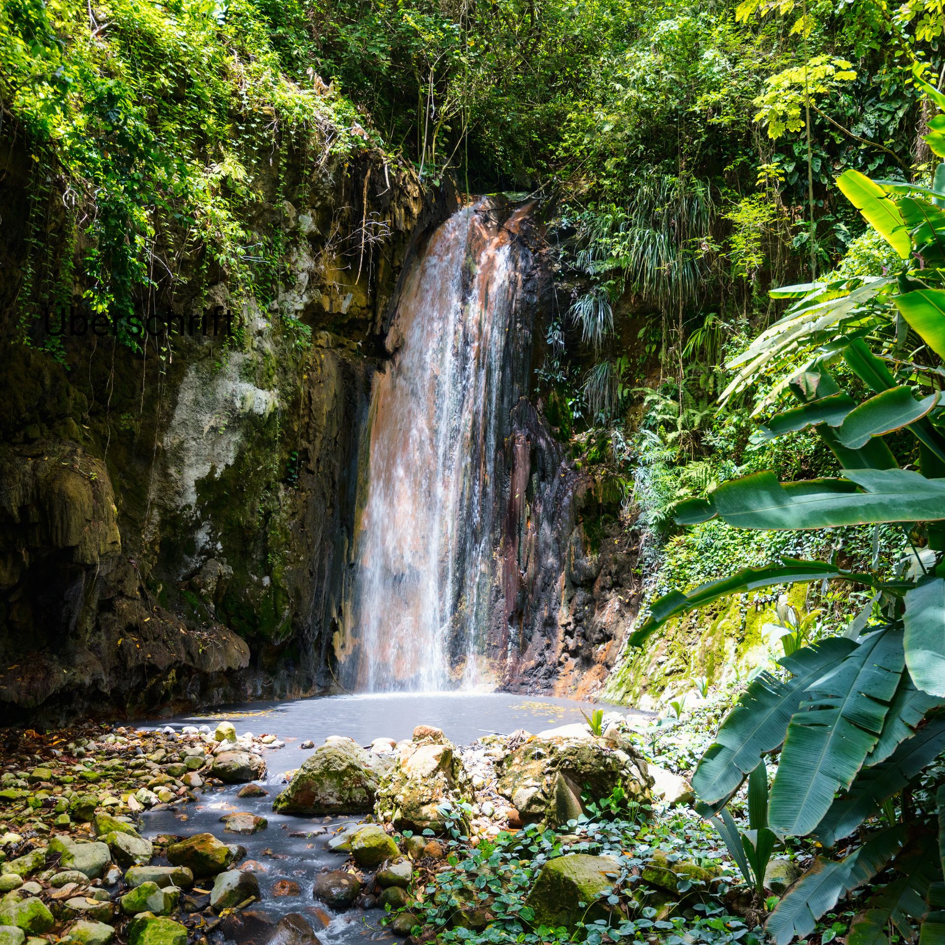 The Initiatives and Impact of Preserving Saint Lucia's Rainforests