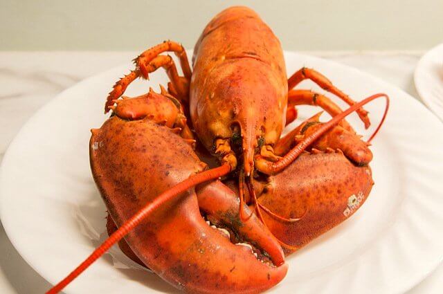 Classic lobster is a must in Nova Scotia