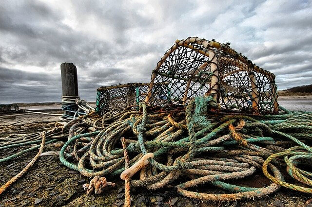 Lobster traps in Nova Scotia's coastline