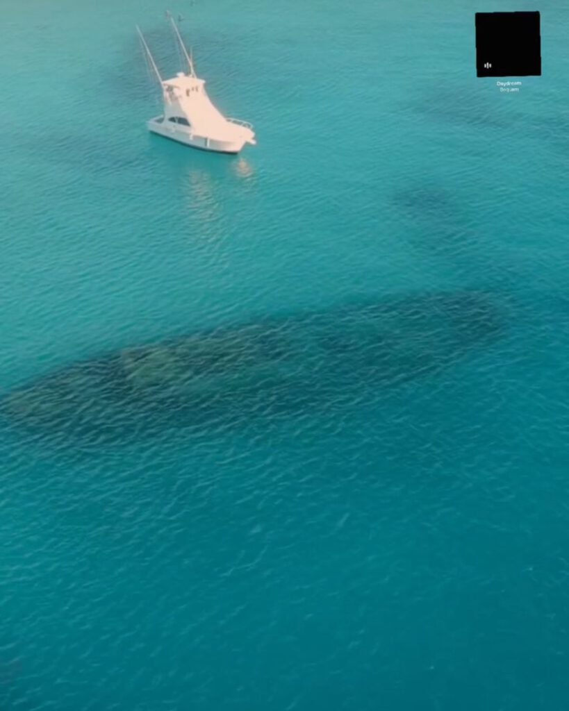 Exploring a ship wreck in Barbados 