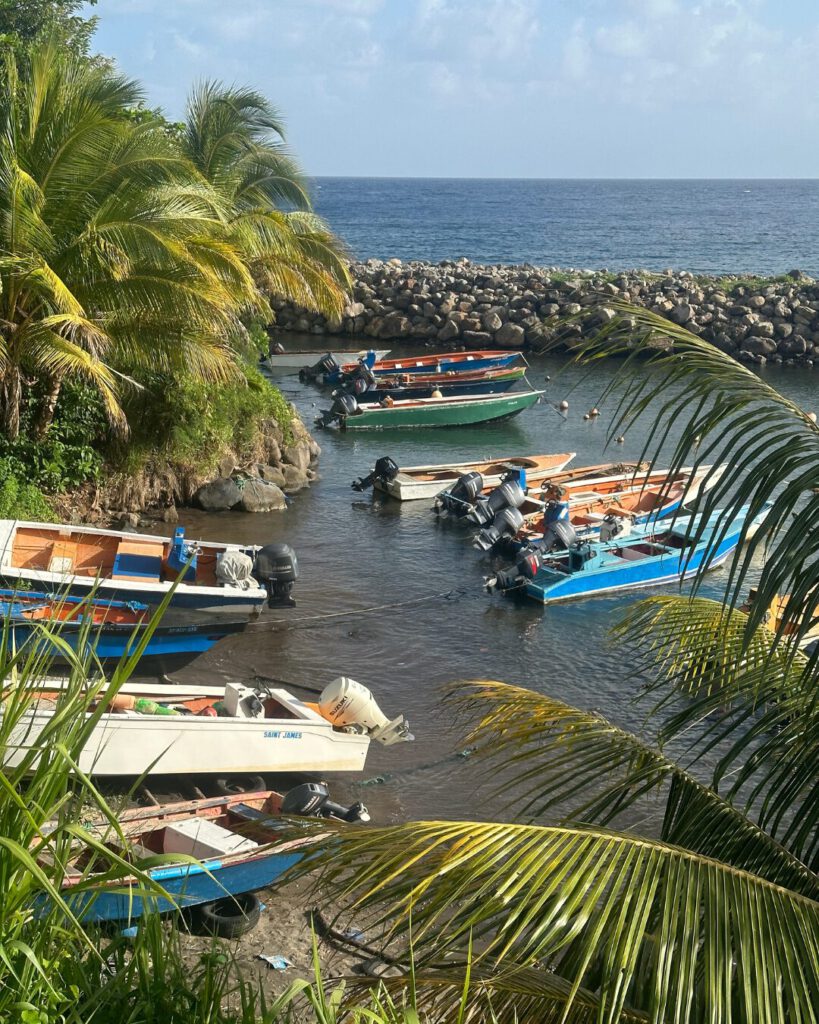 coastline of Dominica