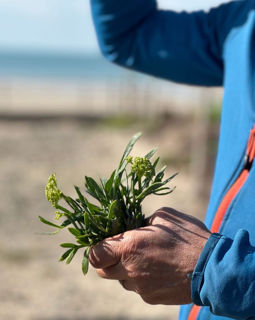 Foraging and exploring Jersey’s Wild Side