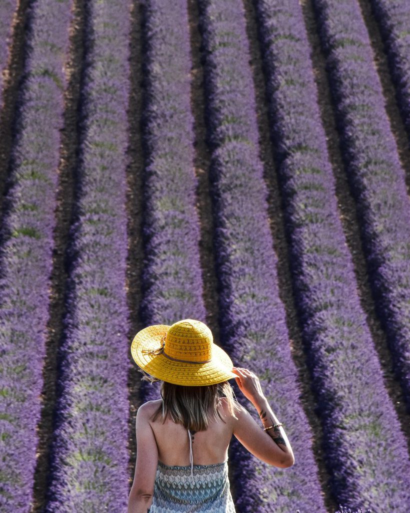 Lavender Sachets from Provence, France