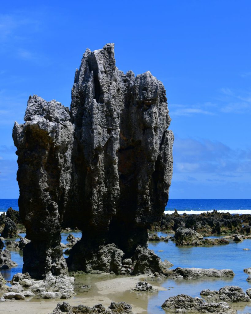 Nauru path to citizenship