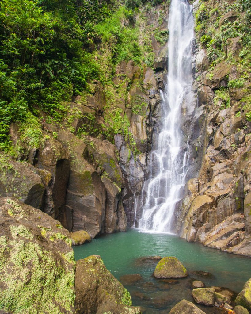 Dominica Path to Citizenship