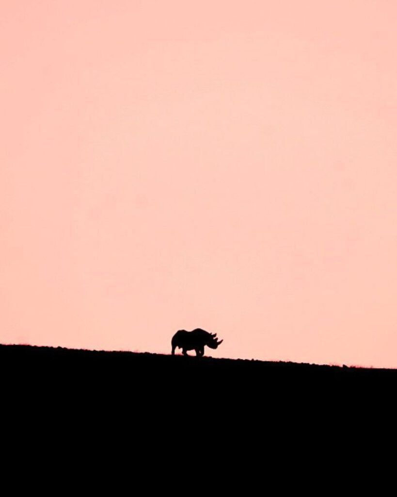 Broader Conservation Across Wilderness Camps