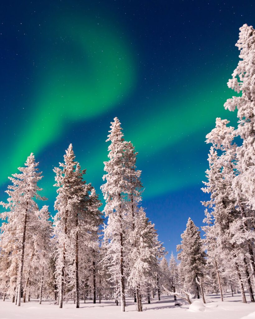 5 Best Things to Do in Lapland in December