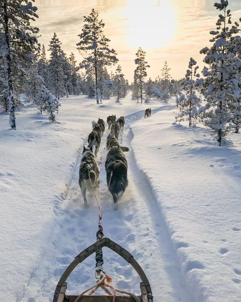 Few places capture the magic of winter like Finnish Lapland. Snow blankets the forests, reindeer pull sleighs, and Santa Claus himself makes an appearance in Rovaniemi.