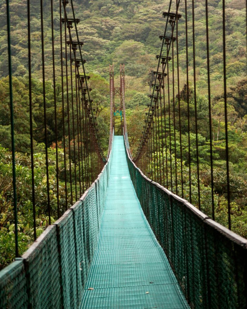 Cloud forest in Costa Rica