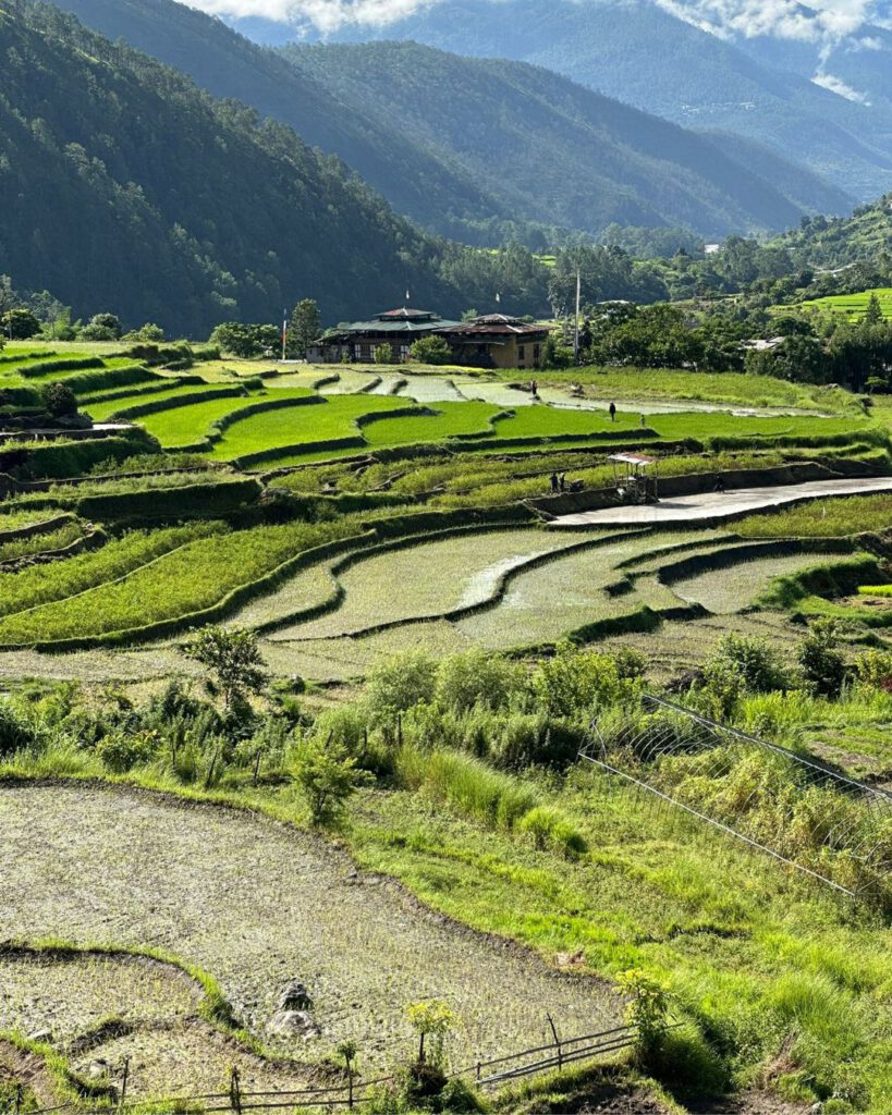 What's the Bhutan Daily Fee and how it Supports Sustainability