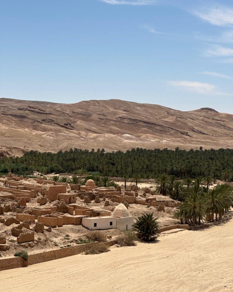 View of Tozeaur from a hotel 