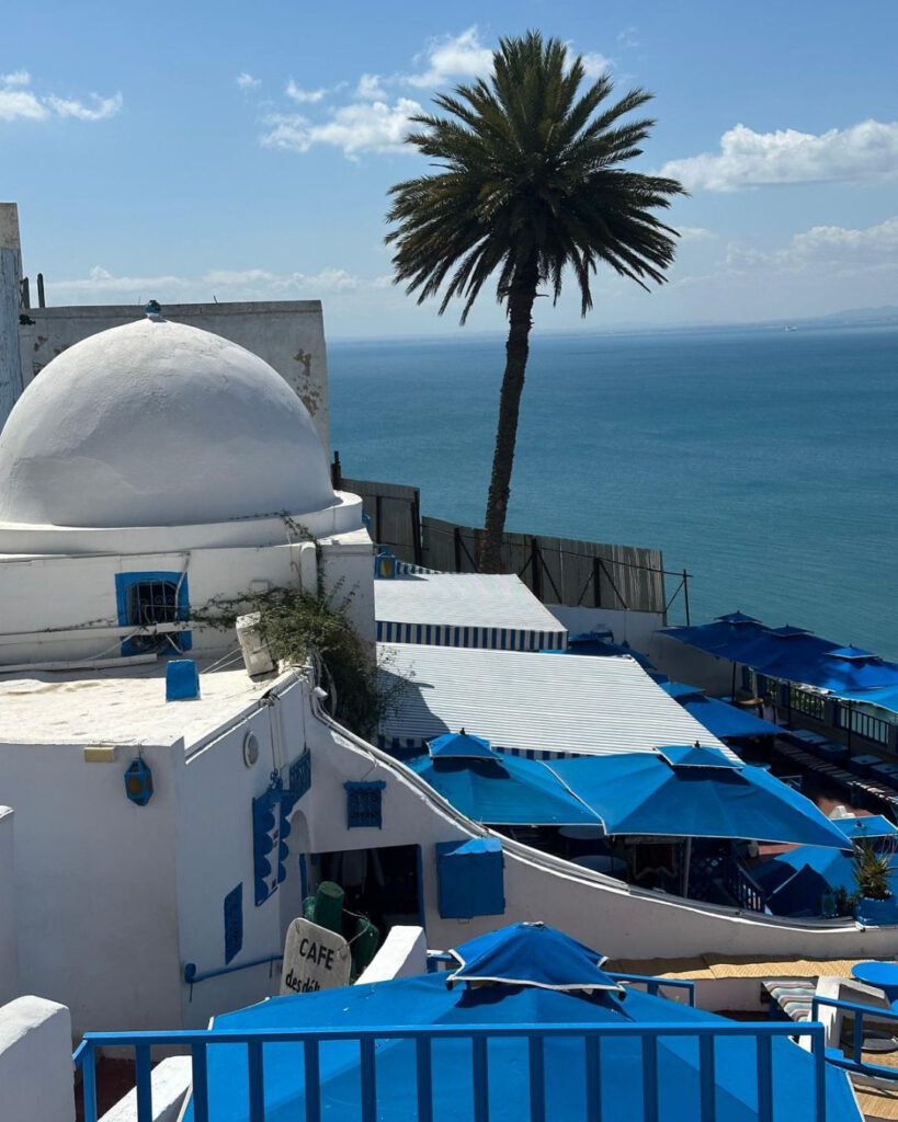 Top things to do in Tunis and Sidi Bou Said: