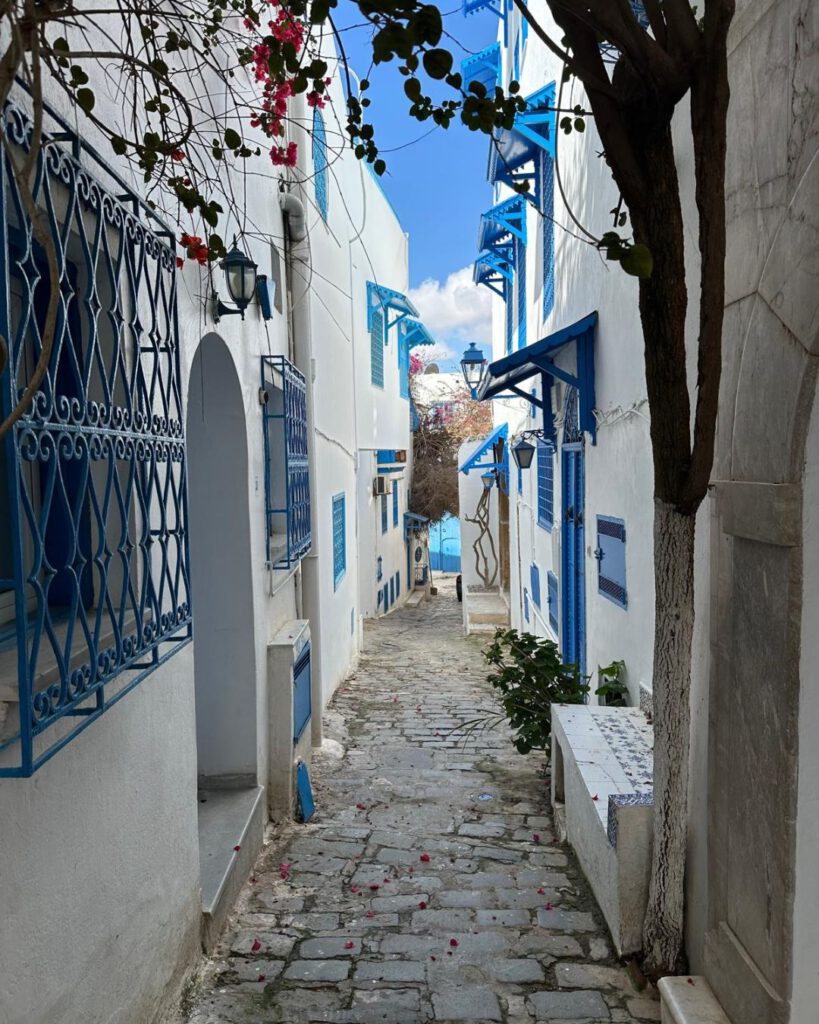 Streets of  Tunis and Sidi Bou Said: