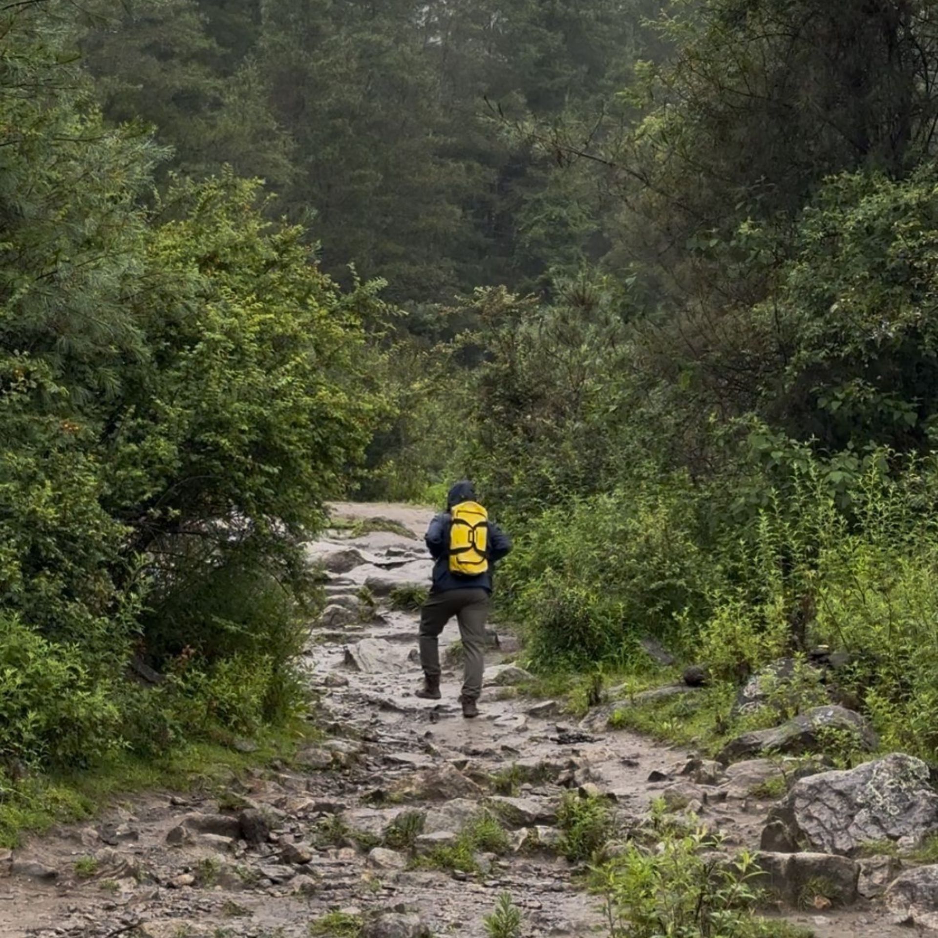 Everything You Need to Know About Bhutan’s 100 USD Obligatory Environmental Fee