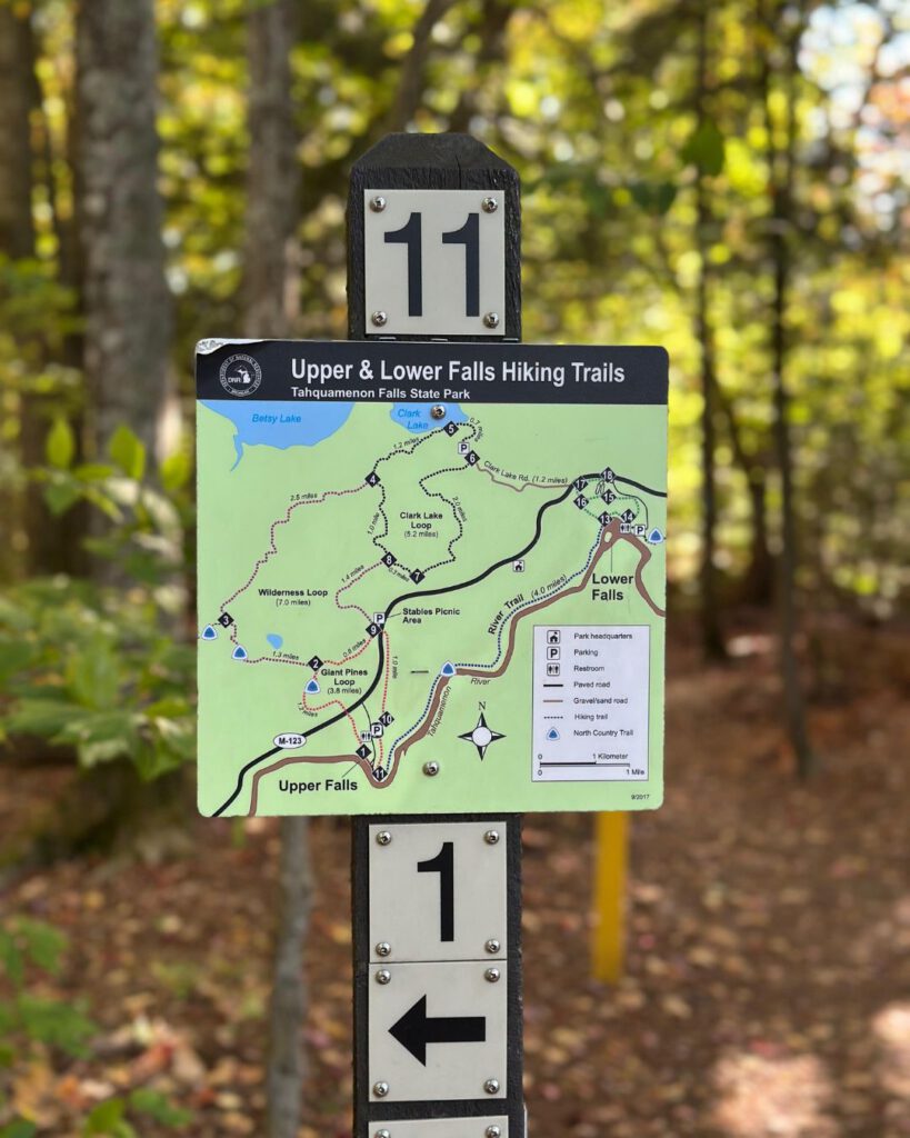 Tahquamenon Falls State Park is famous for its waterfalls, but the River Trail connecting the Upper and Lower Falls is where autumn shines.