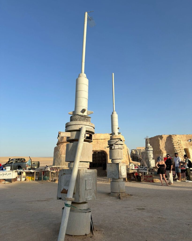 Tozeur: Oasis, Salt Lakes & Desert Variety