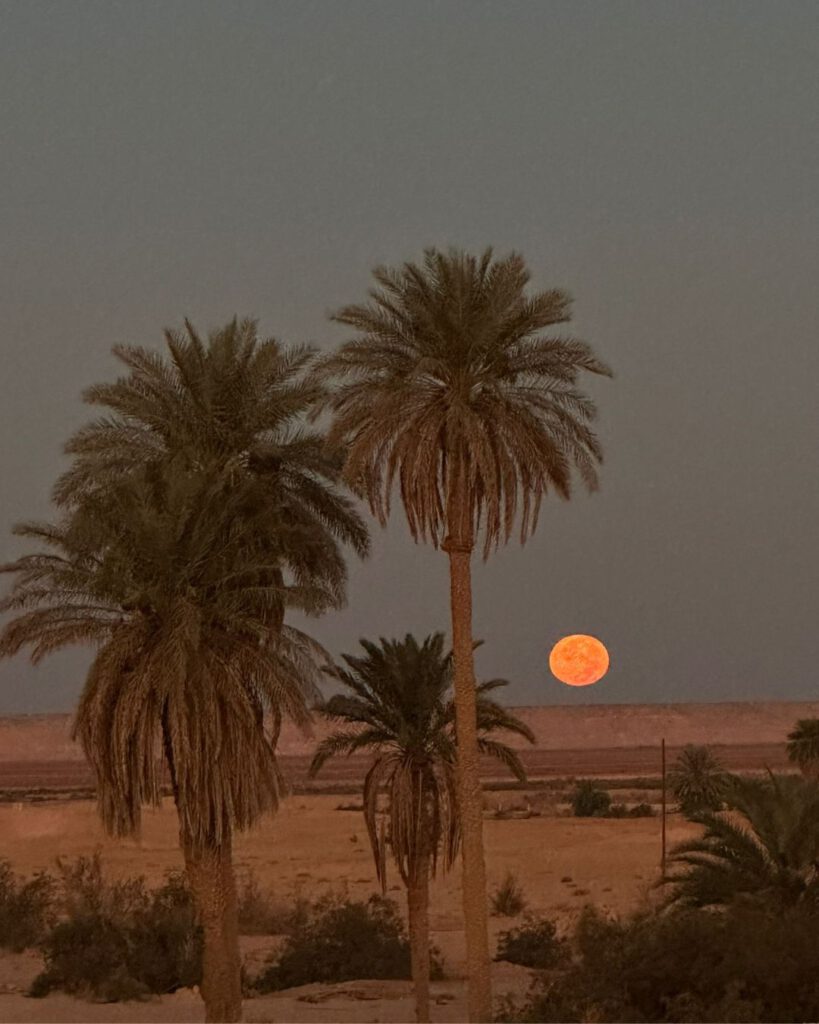 Advantages of Tunisia Compared to Other Northern African Deserts