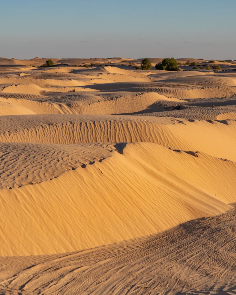 What You Can Actually Do in Douz