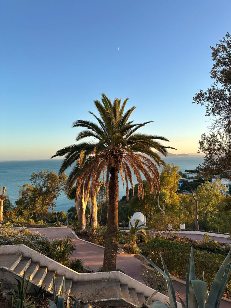 Why Tunisia Stands Out