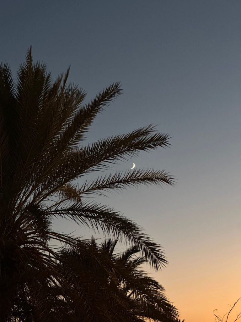 Beautiful Oases and Desert Treks You Won’t Find Everywhere