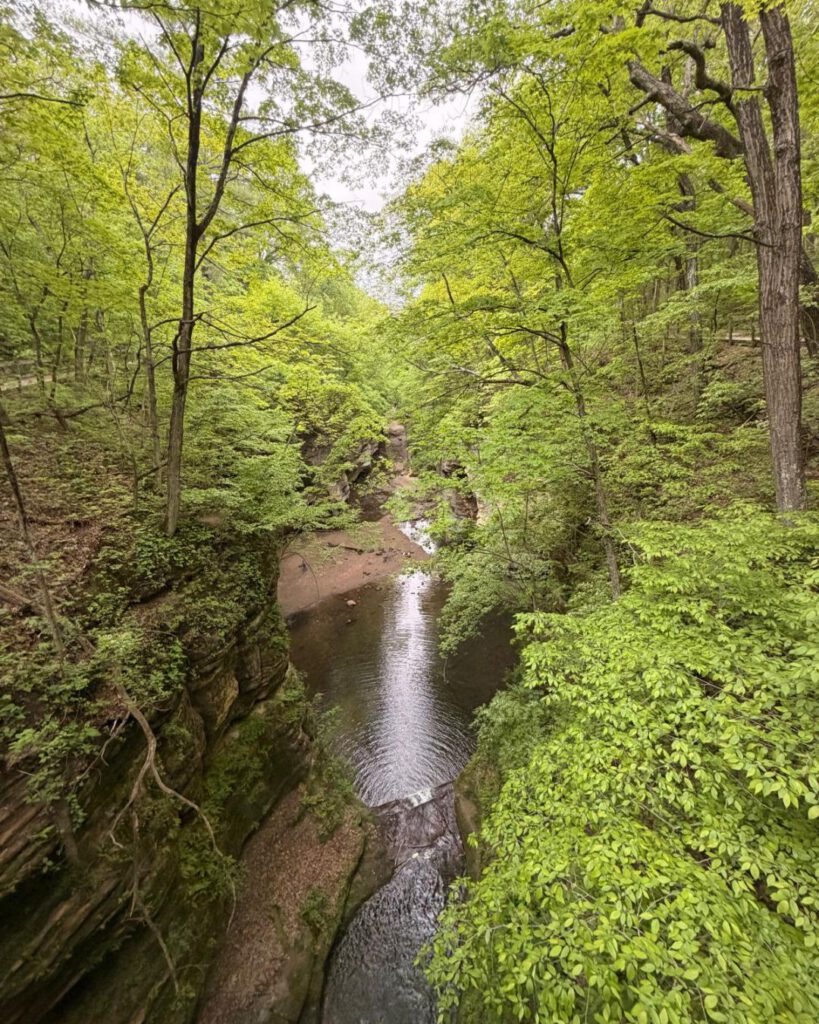 Matthiessen State Park and Lake Falls